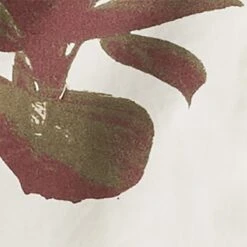 Columbia Pine Canyon Short-Sleeve Shirt - Men's 16 Columbia Pine Canyon Short-Sleeve Shirt - Men's -Unicus Shop CHASTA D5