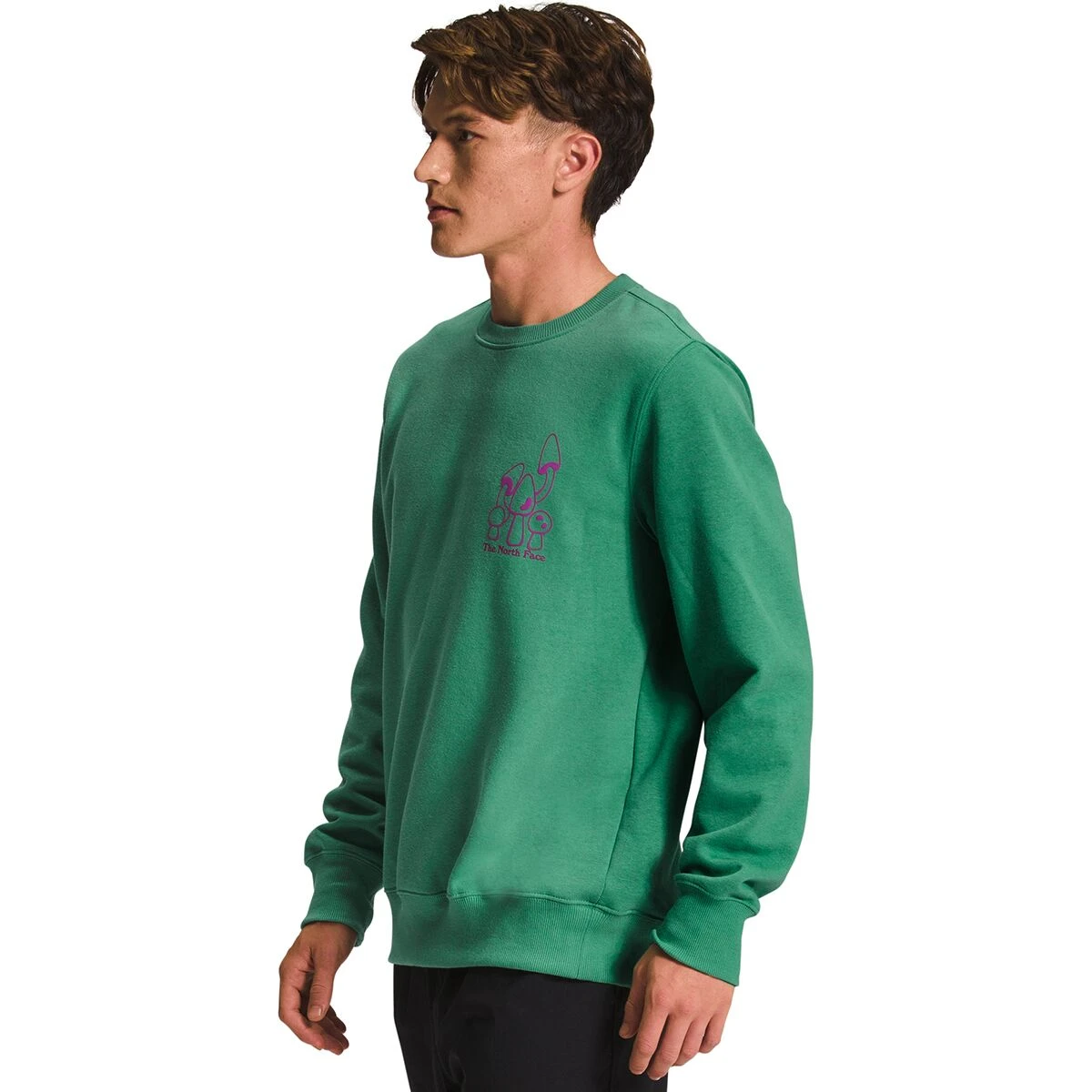 The North Face Places We Love Crew Sweatshirt - Men's 7 The North Face Places We Love Crew Sweatshirt - Men's - Image 5