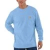Carhartt Workwear Pocket Long-Sleeve T-Shirt - Men's -Unicus Shop SKYHEA